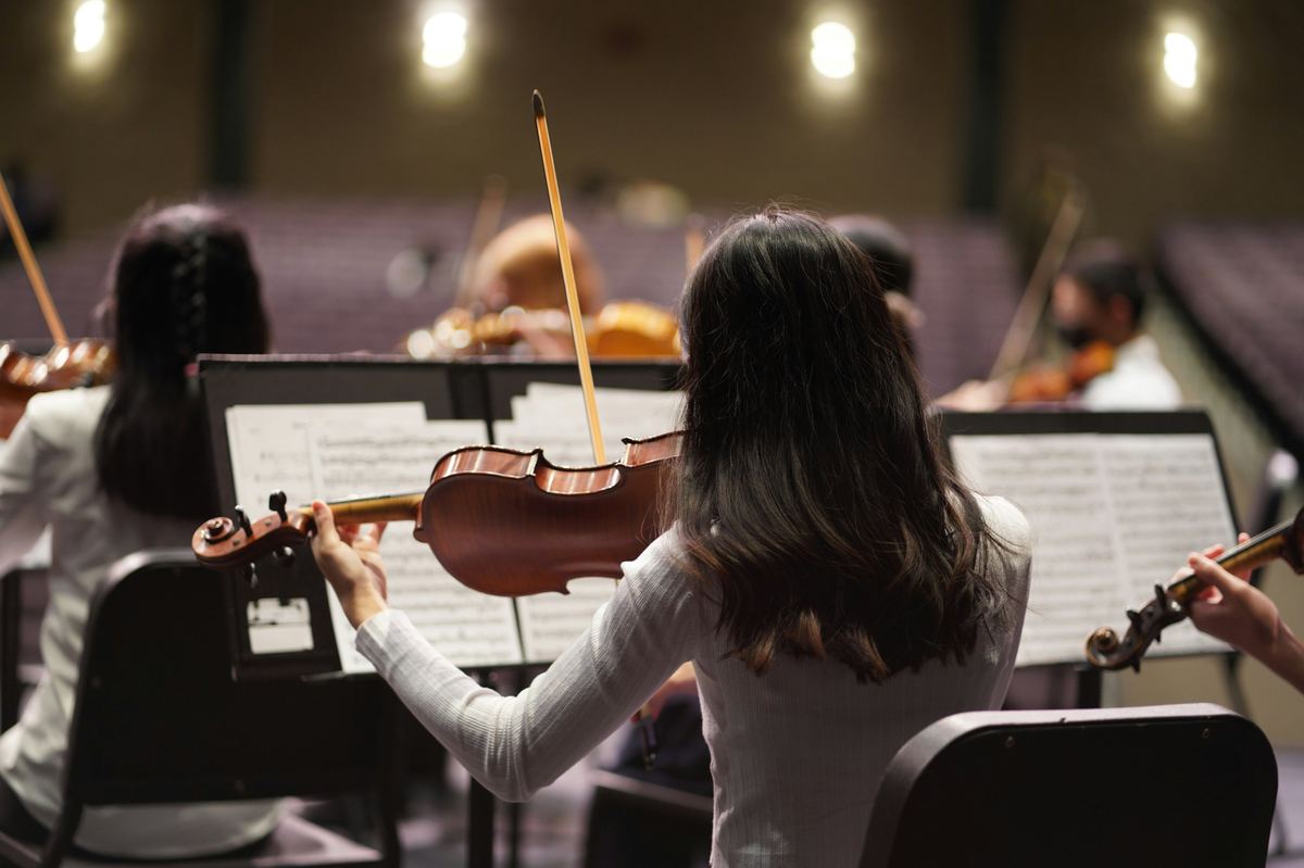 Violinists performing in an orchestra